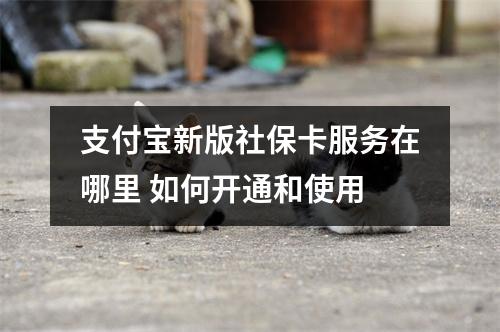 支付宝新版社保卡服务在哪里 如何开通和使用