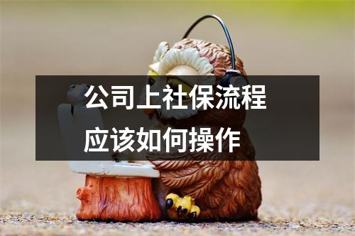 公司上社保流程 应该如何操作