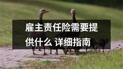 雇主责任险需要提供什么 详细指南