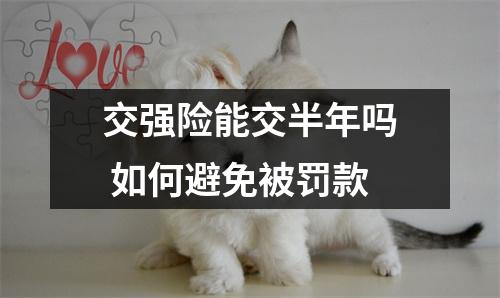 交强险能交半年吗 如何避免被罚款