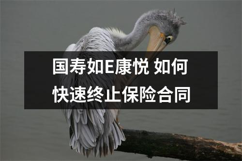 国寿如E康悦 如何快速终止保险合同