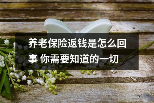 养老保险返钱是怎么回事 你需要知道的一切