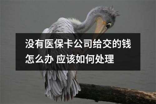 没有医保卡公司给交的钱怎么办 应该如何处理