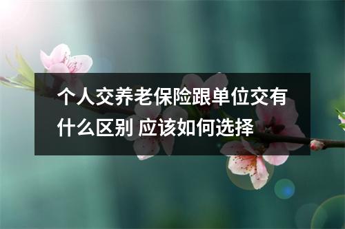 个人交养老保险跟单位交有什么区别 应该如何选择