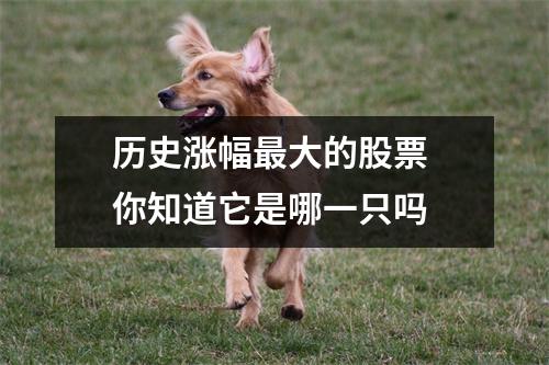 历史涨幅最大的股票 你知道它是哪一只吗 