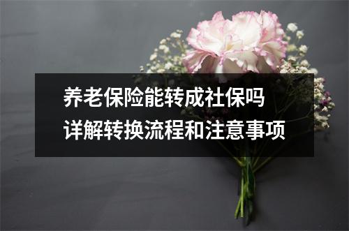 养老保险能转成社保吗 详解转换流程和注意事项