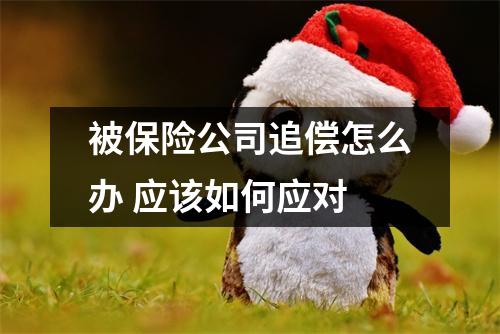 被保险公司追偿怎么办 应该如何应对