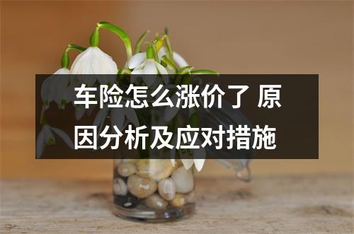 车险怎么涨价了 原因分析及应对措施