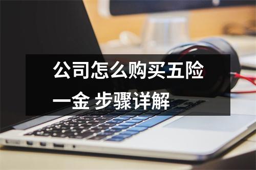 公司怎么购买五险一金 步骤详解