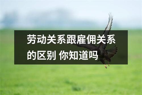 劳动关系跟雇佣关系的区别 你知道吗 