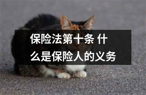 保险法第十条 什么是保险人的义务