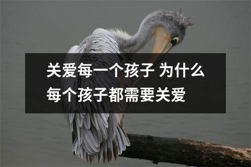 关爱每一个孩子 为什么每个孩子都需要关爱 
