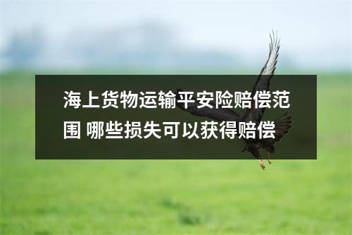 海上货物运输平安险赔偿范围 哪些损失可以获得赔偿