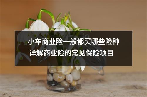 小车商业险一般都买哪些险种 详解商业险的常见保险项目
