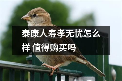 泰康人寿孝无忧怎么样 值得购买吗 