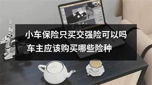 小车保险只买交强险可以吗 车主应该购买哪些险种