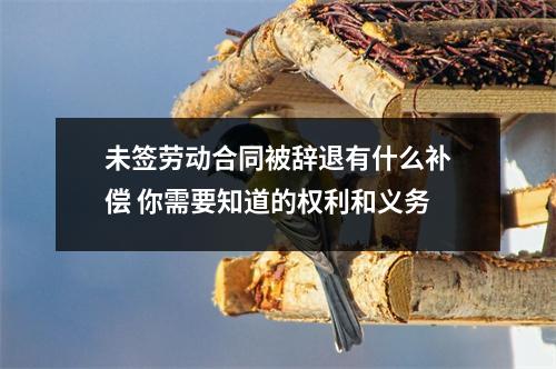 未签劳动合同被辞退有什么补偿 你需要知道的权利和义务