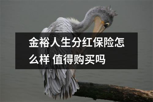 金裕人生分红保险怎么样 值得购买吗 