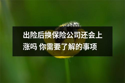 出险后换保险公司还会上涨吗 你需要了解的事项
