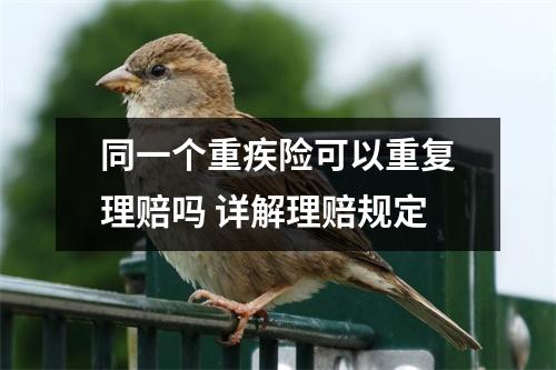 同一个重疾险可以重复理赔吗 详解理赔规定