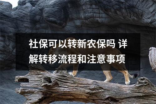 社保可以转新农保吗 详解转移流程和注意事项