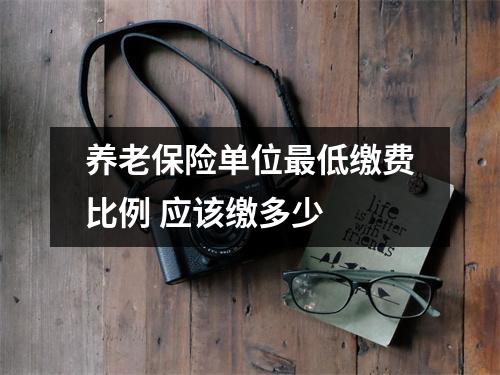 养老保险单位最低缴费比例 应该缴多少