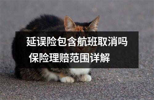 延误险包含航班取消吗 保险理赔范围详解