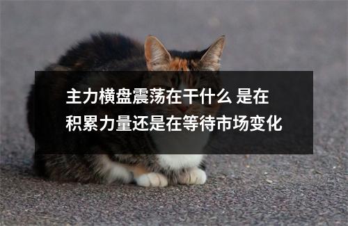 主力横盘震荡在干什么 是在积累力量还是在等待市场变化