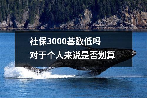 社保3000基数低吗 对于个人来说是否划算