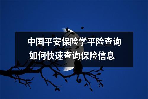 中国平安保险学平险查询 如何快速查询保险信息