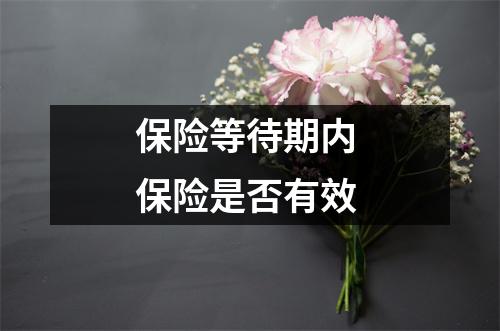 保险等待期内 保险是否有效
