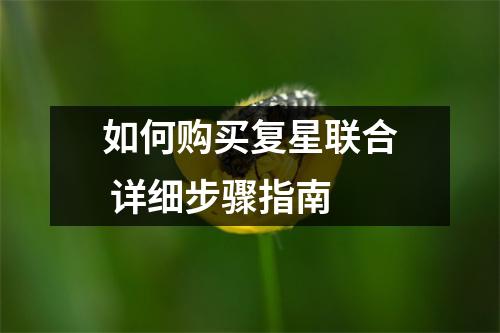如何购买复星联合 详细步骤指南