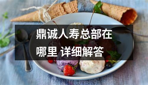 鼎诚人寿总部在哪里 详细解答