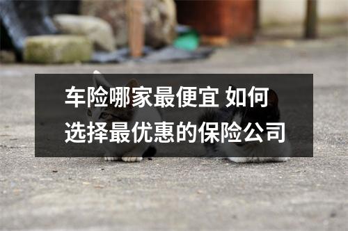 车险哪家最便宜 如何选择最优惠的保险公司