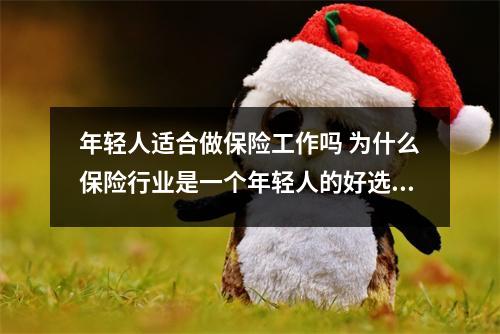 年轻人适合做保险工作吗 为什么保险行业是一个年轻人的好选择