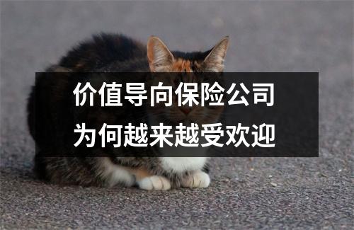 价值导向保险公司 为何越来越受欢迎