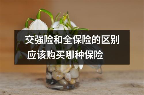 交强险和全保险的区别 应该购买哪种保险