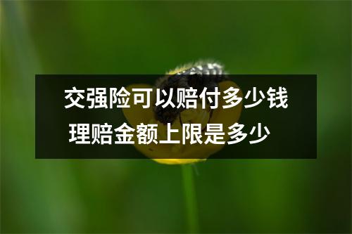 交强险可以赔付多少钱 理赔金额上限是多少