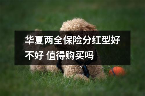 华夏两全保险分红型好不好 值得购买吗