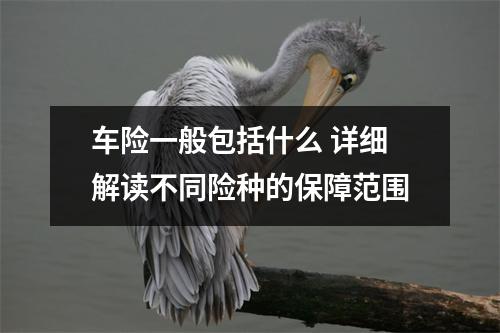 车险一般包括什么 详细解读不同险种的保障范围