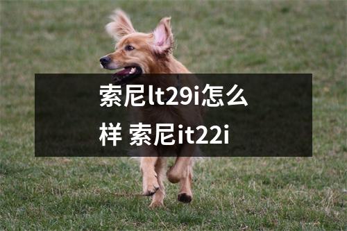 索尼lt29i怎么样 索尼it22i