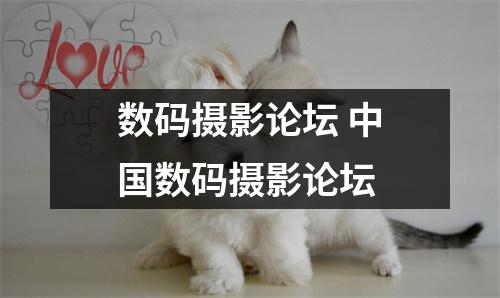 数码摄影论坛 中国数码摄影论坛