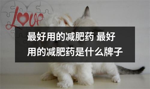 最好用的减肥药 最好用的减肥药是什么牌子