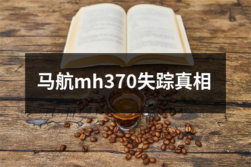 马航mh370失踪真相