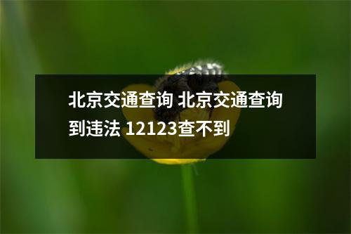 北京交通查询 北京交通查询到违法 12123查不到