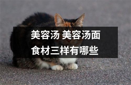 美容汤 美容汤面食材三样有哪些