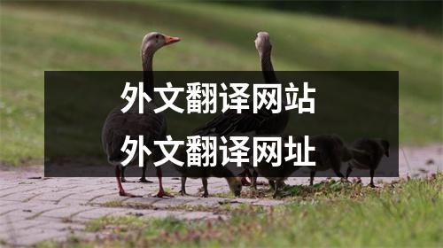 外文翻译网站 外文翻译网址