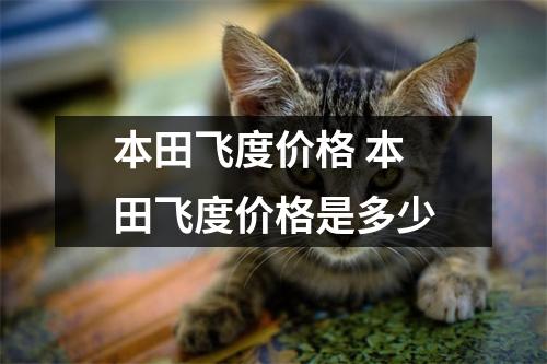 本田飞度价格 本田飞度价格是多少