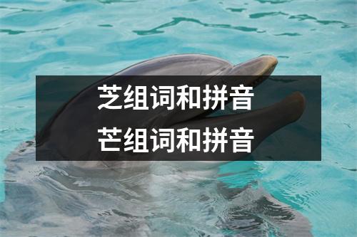 芝组词和拼音 芒组词和拼音