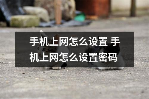 手机上网怎么设置 手机上网怎么设置密码